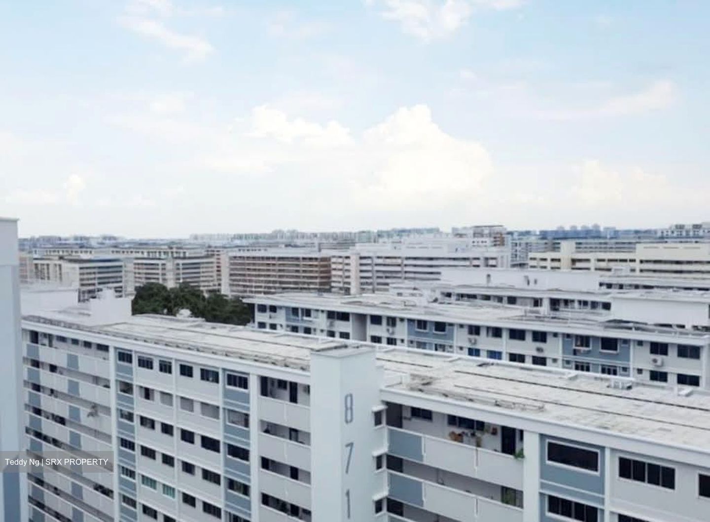 Blk 869A Tampines Greenwood (Tampines), HDB 3 Rooms #533901421